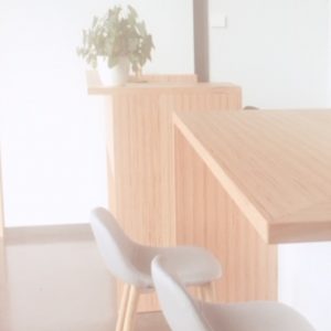 Opus Bureau Accueil Pibrac